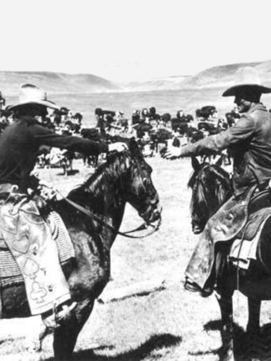 Historic Cattle Drive in Crook County, Wyoming